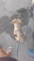 Hércules 