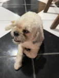 Mel