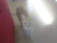 Chuvisco