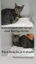 José Barriga 