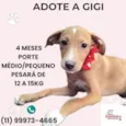 Gigi
