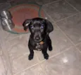 Ralf