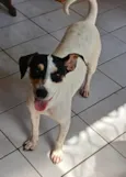 Dudinha