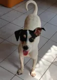 Dudinha