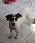 Dudinha