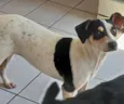 Dudinha