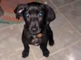 Ralf