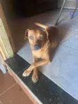 Zoe