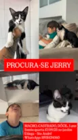 Jerry 