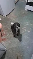 Diana.