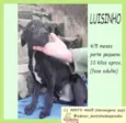 Luisinho