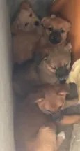 infelizmente não coloquei nome nos bebes 