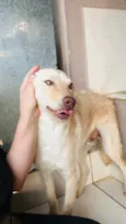 Feliz 