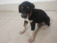 Ainda não tem nomes