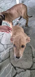 Ttmmm