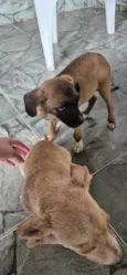 Ttmmm