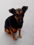 Megue