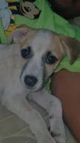 Nina