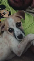 Nina