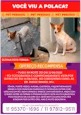 Polaca