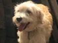 Bob