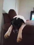 Paçoca