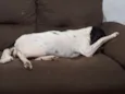 Paçoca
