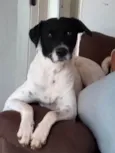 Paçoca