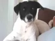 Paçoca