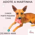Martinha 