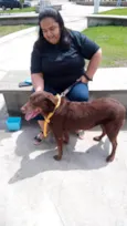 Mel