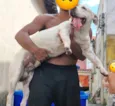 Rolf