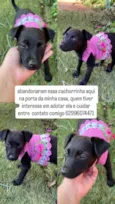 Não tem nome