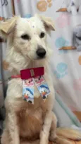 Lolita
