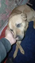 Bobby