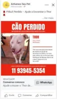 Thor