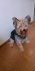 Bob