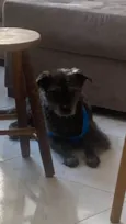 Kuro