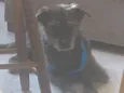 Kuro