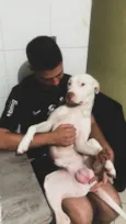 Beijamim e kiara