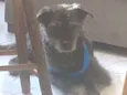 Kuro