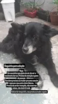 Nego