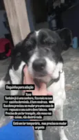 Xuxa