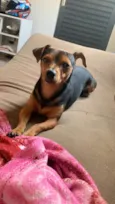 Snoop