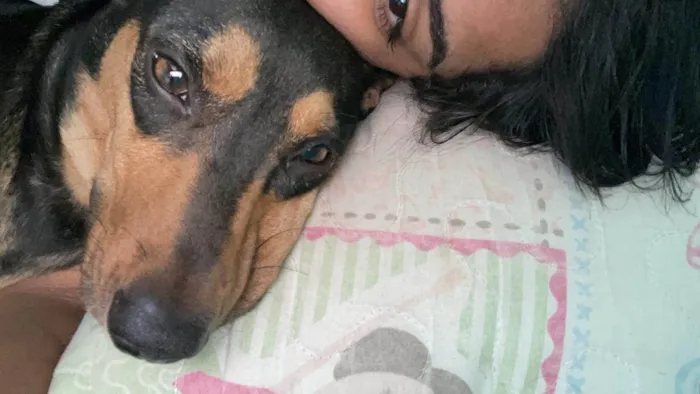 Cachorro ra a SRD-ViraLata idade 2 anos nome Nutella Maria