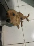 Feliz Emanuelle