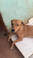 Feliz Emanuelle