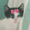 Mika 