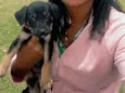 Totó 