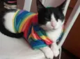 Louíse Frutillyy